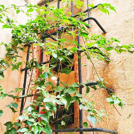 Vetrina 24 ローマ